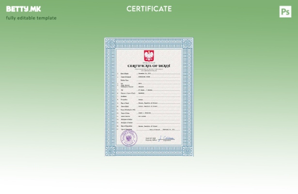 Модерен стил Полска витална евиденција за смртен шаблон PSD шаблон